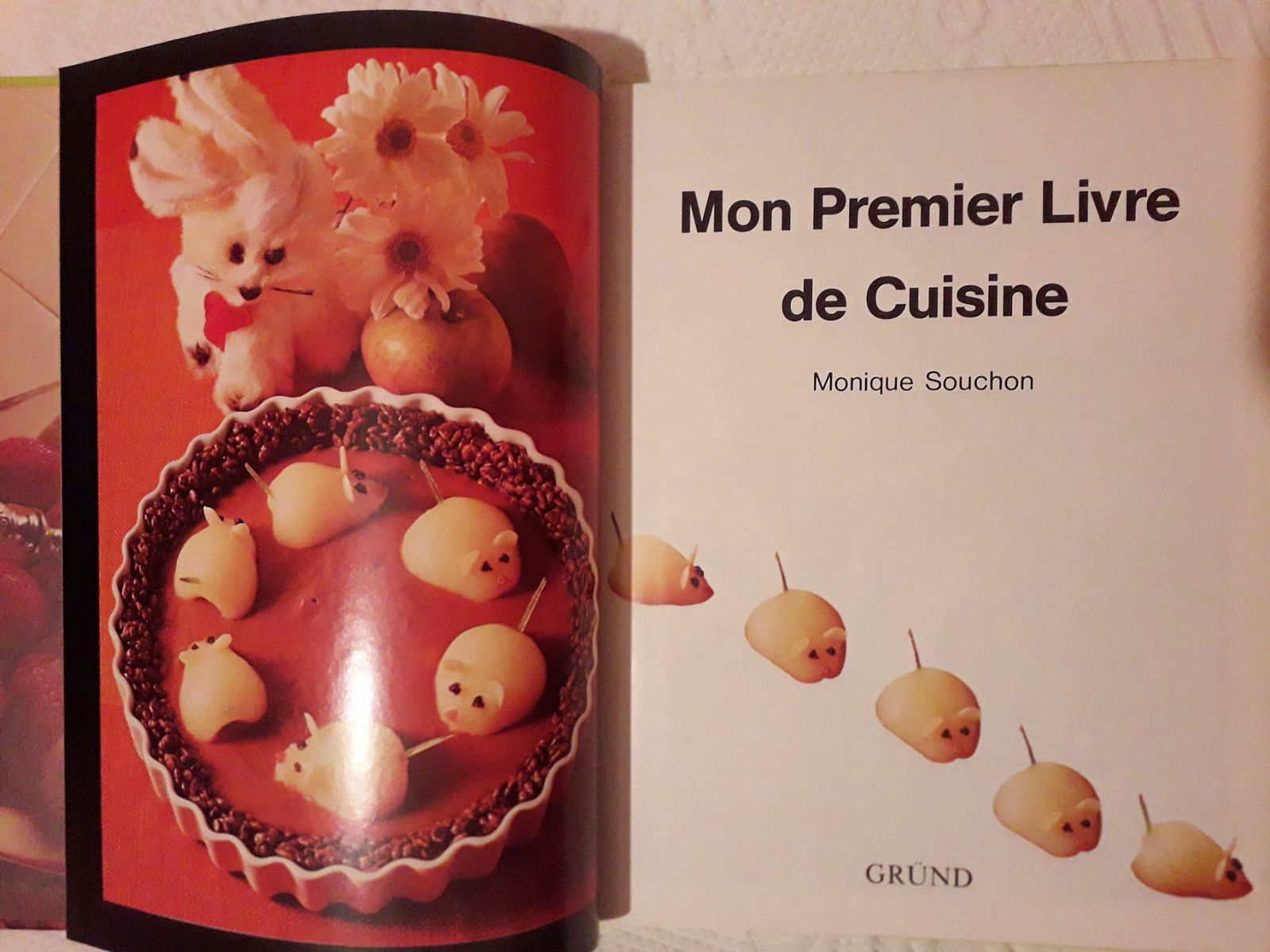premier livre de cuisine
